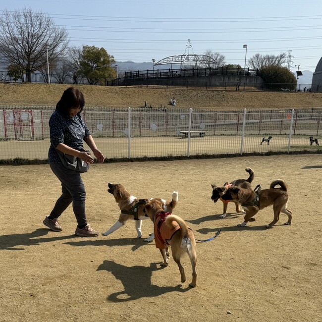 わんＬＯＶＥのカバー写真