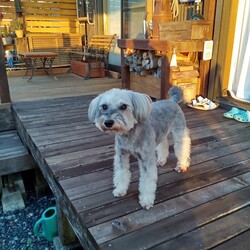 寒くなってきたね