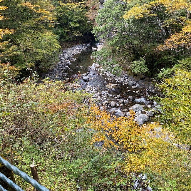 シュンペータのカバー写真