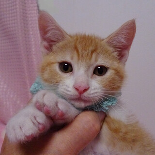 �D������ŗz�C�Ȃ��ς��{�[�C�􃁃�����Q�J��