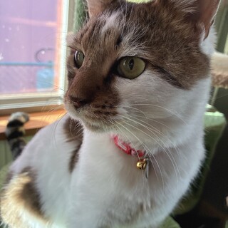 1ヶ月で捨てられた超構ってちゃんのハナくん