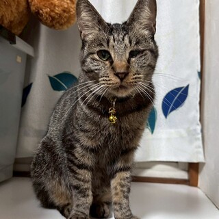 すりすりごろごろ可愛い女の子❤︎うーたん