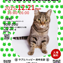 12月21日｛ラブとハッピー府中 保護猫譲渡会｝