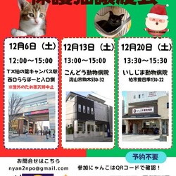 柏市♡保護猫譲渡会♡NPO法人にゃん2