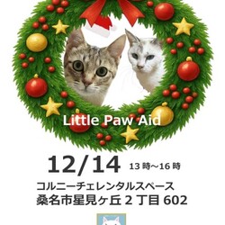 三重県桑名市12月14日(日)リトルパウエイド譲渡会