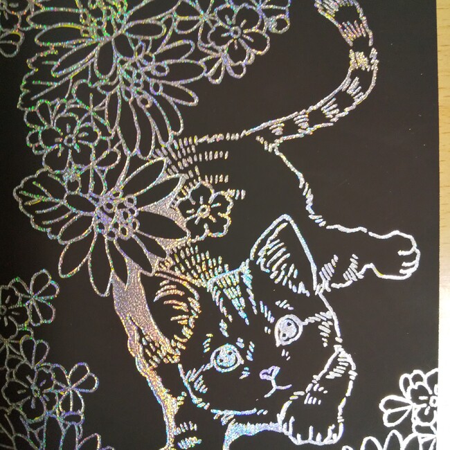 cocottaのカバー写真