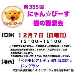 にゃん☆ぴーす猫の譲渡会【稲毛海岸/ペテモピアシティ稲毛海岸店』