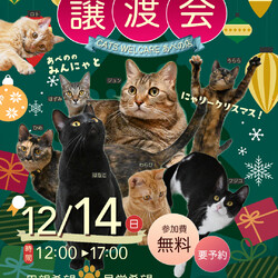 クリスマス！ふれあえる譲渡会　in大阪市