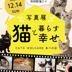 クリスマス！ふれあえる譲渡会　in大阪市 サムネイル2