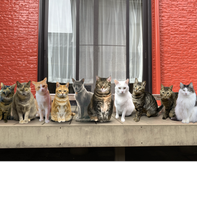 久太郎のカバー写真