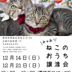 ◇ミャオ！ねこのおうち◇譲渡会◇