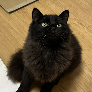 ご検討中の為一時休止中