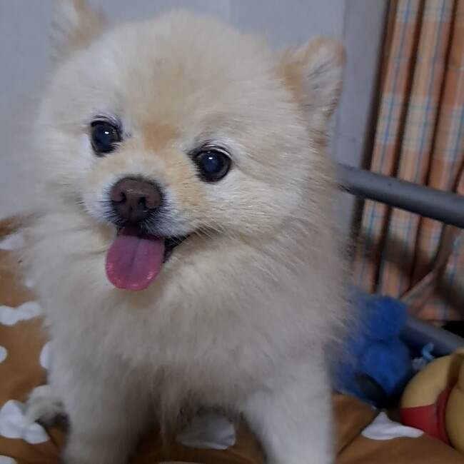 kazuyo0423のカバー写真