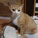 甘えん坊で食いしん坊の下半身不随の可愛い咸です。