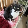 フレンドリーなカイくん サムネイル3