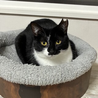 甘えん坊の女の子2歳