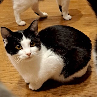 農機具小屋で生まれた　れんくん