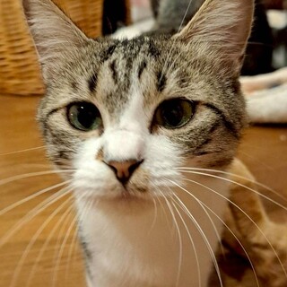 可愛い♡あおいちゃん