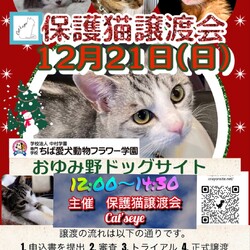 保護猫譲渡会Cat'seye