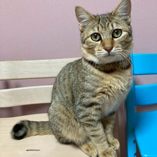 スリスリゴロゴロちょっぴり困り顔★マキオくん