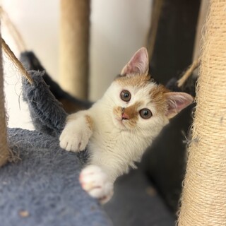 甘えん坊元気いっぱいツリーちゃん！