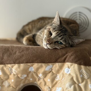 片目の甘えん坊ガール♥️空ちゃん♥️