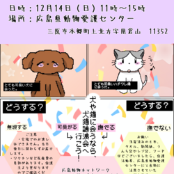 犬猫譲渡会