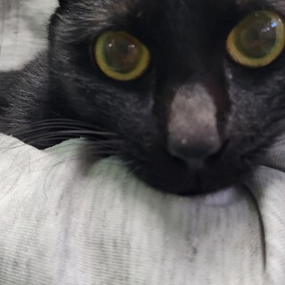 崖っぷち41番♀️　期限あり