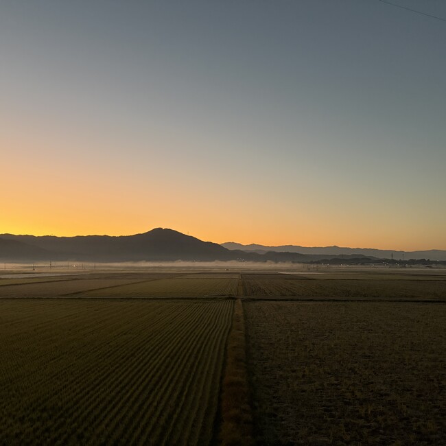 ノムローのカバー写真