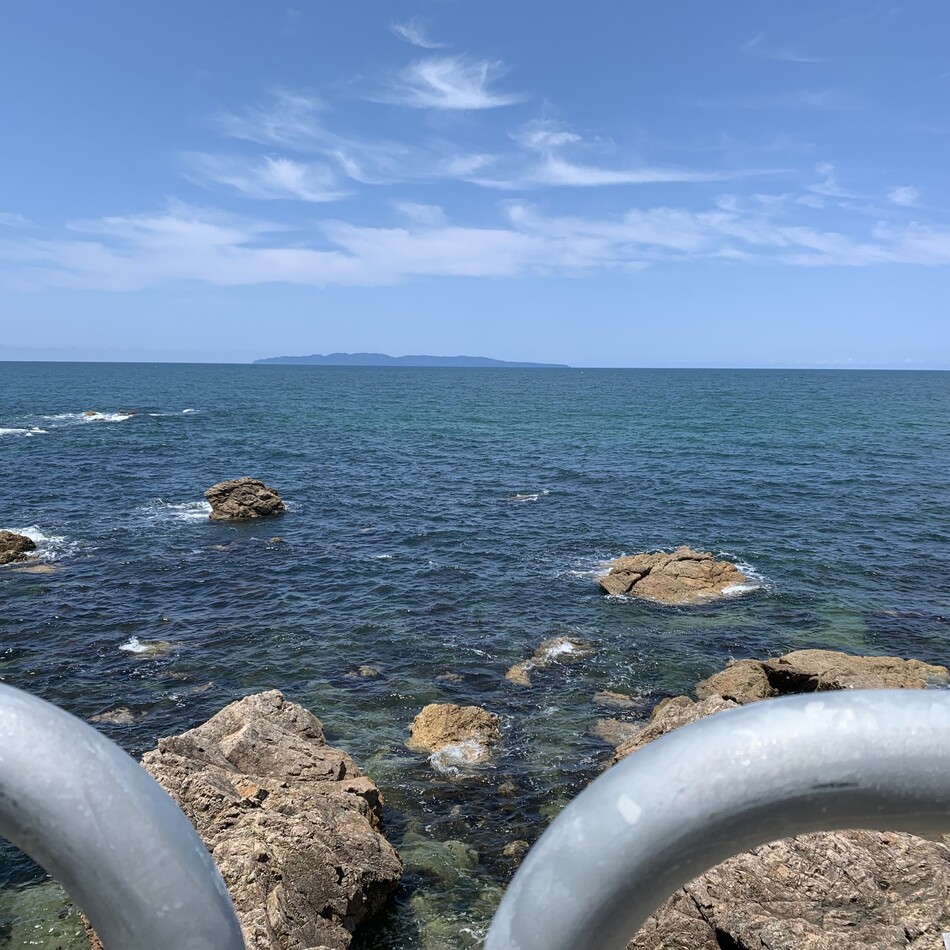 渡邊広美のカバー写真