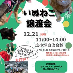 いぬねこ譲渡会