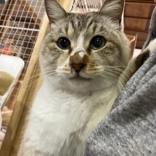 全盲だけど毎日ご機嫌♡ちょちょ