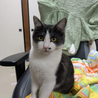 里親さん募集中