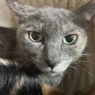 ありがとうございました