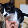 慣れたらスリゴロ避妊済なつめちゃん