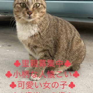 ♣︎小柄の女の子人慣れしてます♣︎