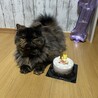 くろしゅけ