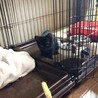 だんだん遊び始めて