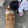 子どももオッケーです