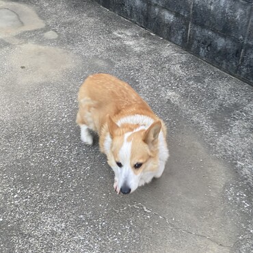 の写真