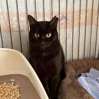 綺麗な瞳のしずかちゃん