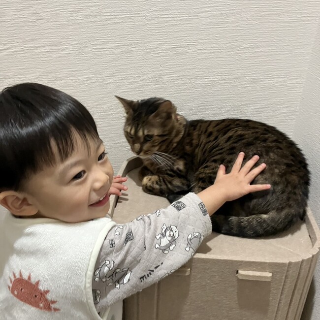 いまにしNのカバー写真