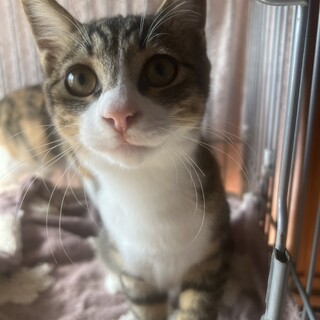 目の輝きがまさにナルト！