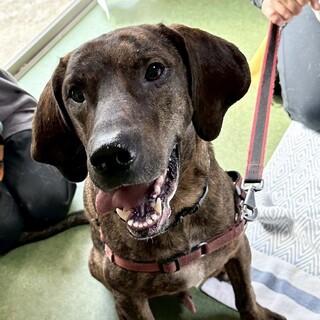 元気いっぱい！懐っこいオーウェンくん