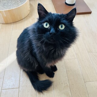 キャラ濃ゆい！「トゥー君」