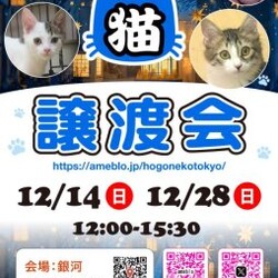 ほごねこ東京譲渡会＠駒込