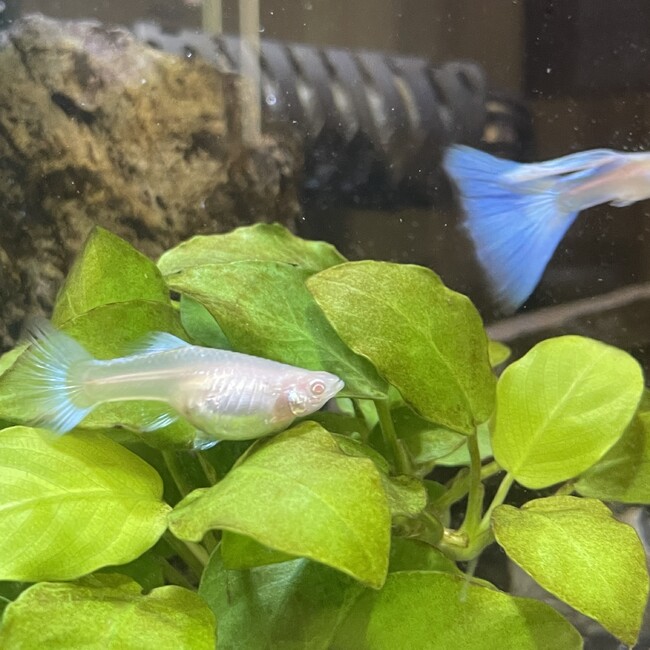 みなとこみなとのカバー写真