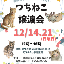 つちねこ譲渡会