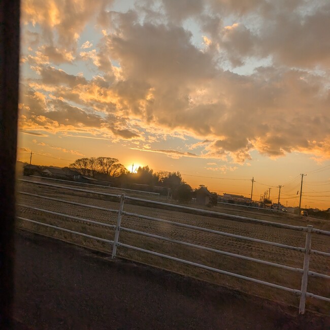 清水ですのカバー写真