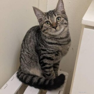 【駒込】 ラブリー♡ルンちゃん